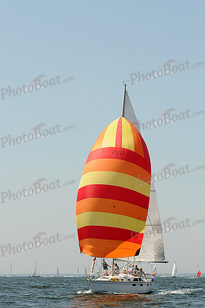 2012 Vineyard Race A 261