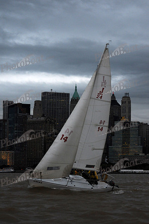 2011 NY Architects Regatta 818