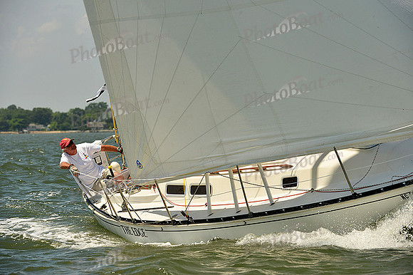 2015 Southern Bay Race Week A 1233
