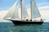 2014 Newport Bermuda A 018