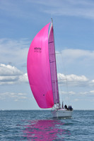 2019 Figawi_1554
