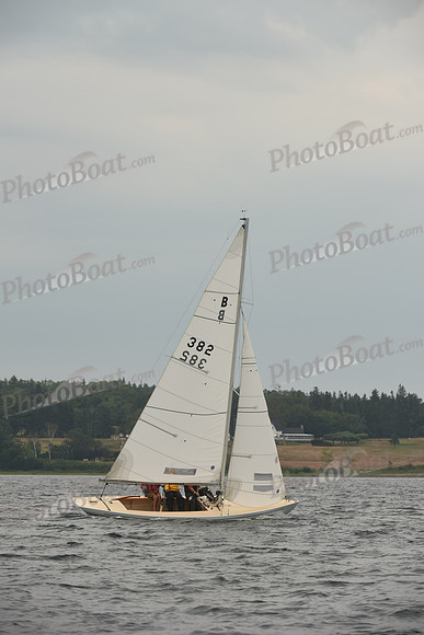 2016 Chester Race Week D_0890