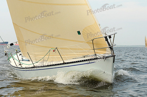2012 Gov Cup A 1666