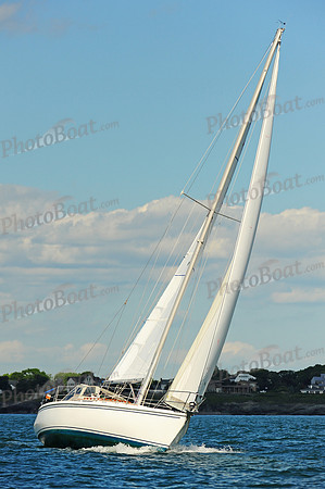 2014 NYYC Annual Regatta C 1875
