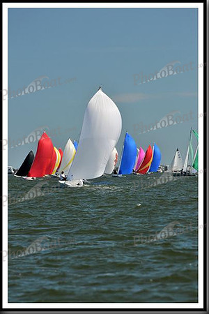 proof_2010_EScows_E 1064