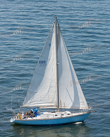 DBP_1693