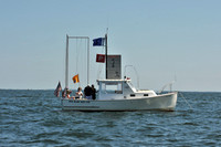 2010 Leukemia Cup B 736