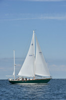 2019 Around Marthas Vineyard A_1156