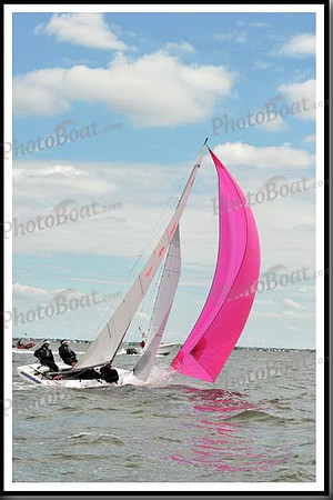 proof_2010_EScows_A 884