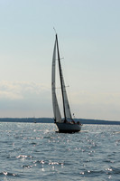 2011 Vineyard Race A 1484