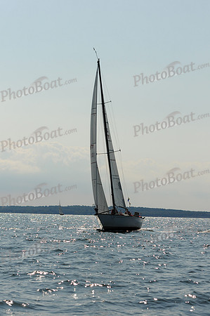 2011 Vineyard Race A 1484