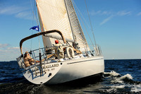 2014 Vineyard Race A 487