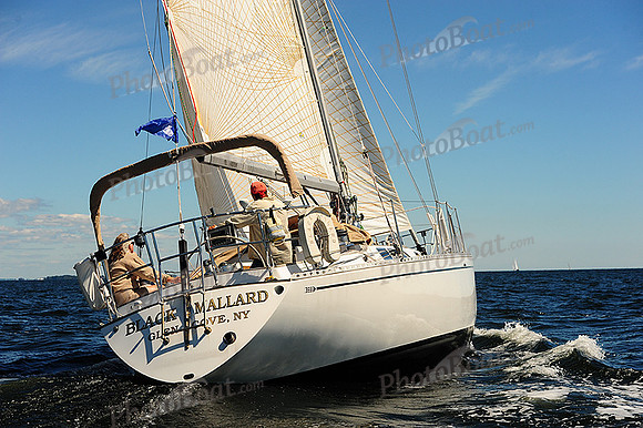2014 Vineyard Race A 487