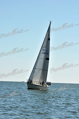 2010 Leukemia Cup 604