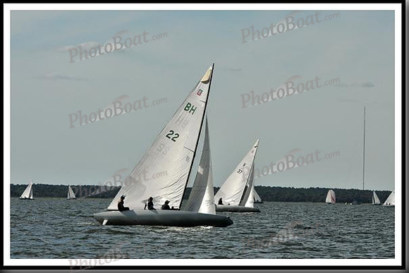 proof_2010_EScows_E 1391