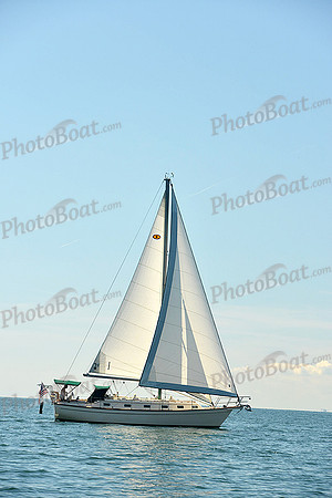 2015 Cape Charles Cup C 267