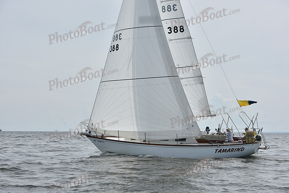2019 Gov Cup A_0533