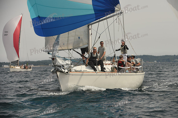 2016 Chester Race Week C_1533