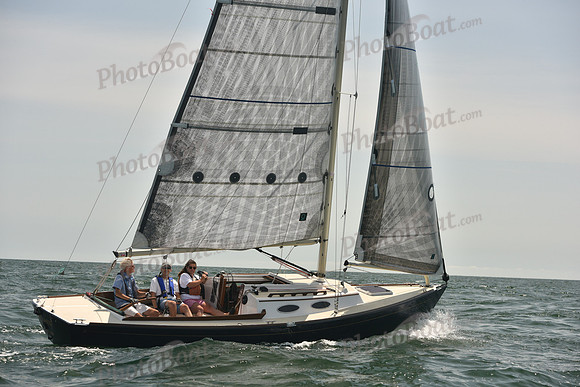 2018 Vineyard Cup A_0559
