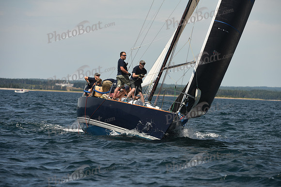 2016 Chester Race Week A_0249