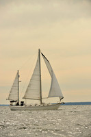 2017 Vineyard Race B_0276