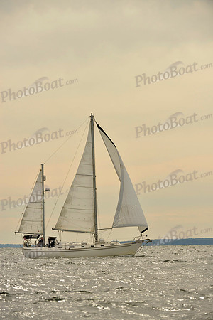 2017 Vineyard Race B_0276