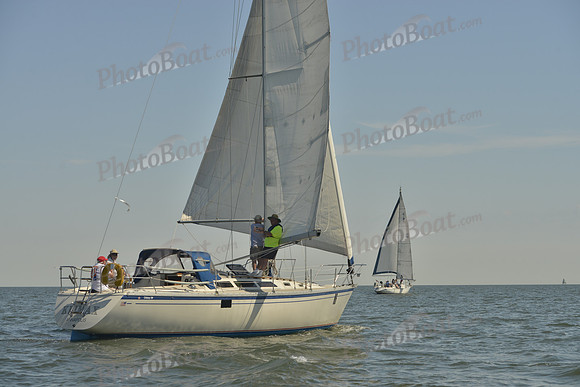 2017 Southern Bay Race Week B_0244