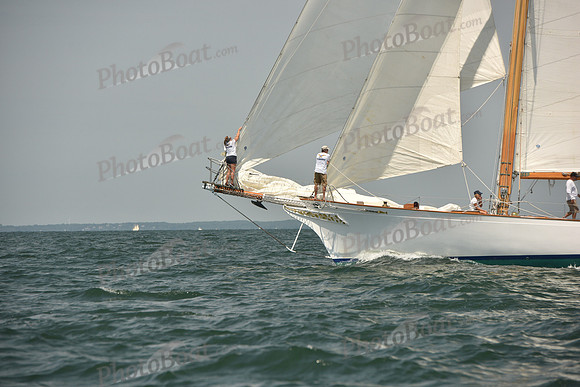 2018 Vineyard Cup A_1251