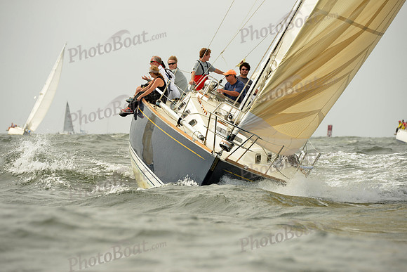 2015 Vineyard Race A 228