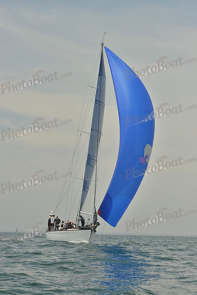 2018 Figawi_2572