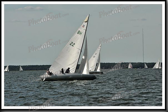 proof_2010_EScows_E 1393