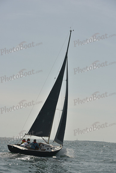 2018 Vineyard Cup A_0617