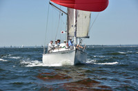 2019 Vineyard Race A_0303