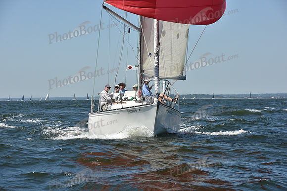 2019 Vineyard Race A_0303