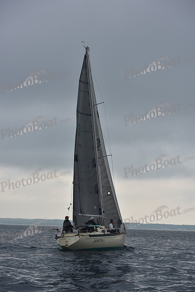 AMC_1436
