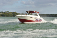 2019 Feb 10 Tampa Bay B_0474