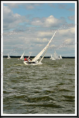 proof_2010_EScows_B 458