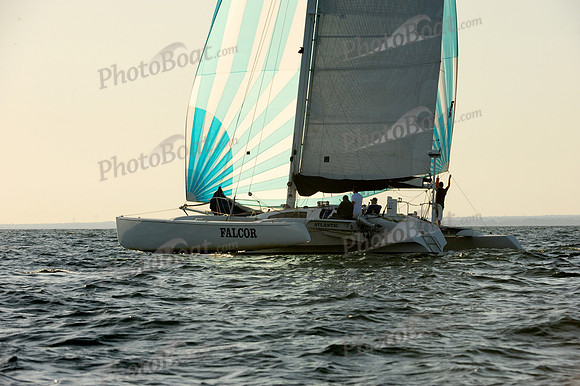 2015 Vineyard Race D 099
