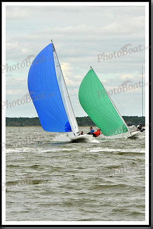 proof_2010_EScows_A 810