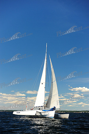 2014 Vineyard Race A 1533
