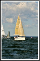 proof_2010_Vineyard_Race_1033