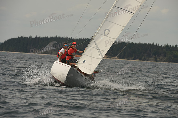 2016 Chester Race Week C_1105