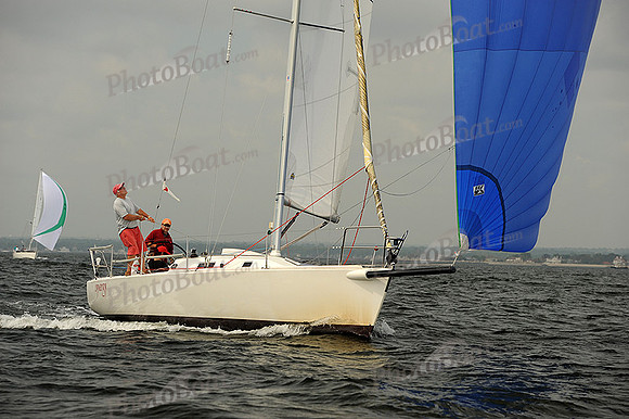 2013 Vineyard Race A 230