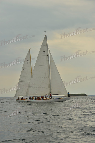 2016 Chester Race Week E_0175