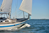 2017 Vineyard Race A_0609