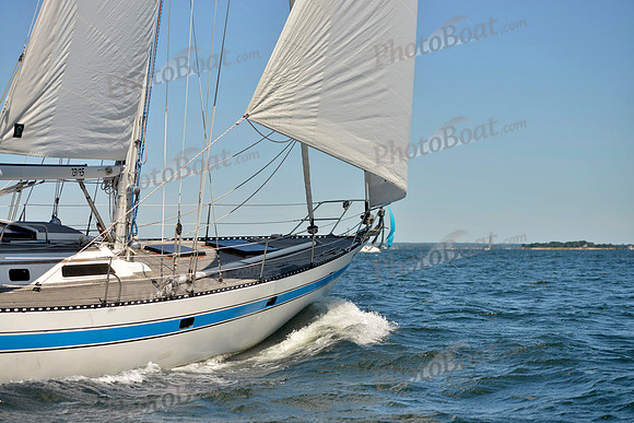 2017 Vineyard Race A_0609