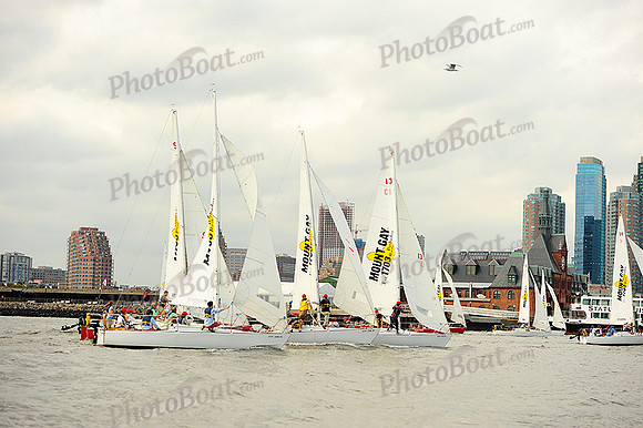 2014 NY Architects Regatta 588