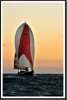 proof_2010_Vineyard_Race_2411