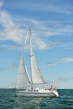 2015 Cape Charles Cup A 1433