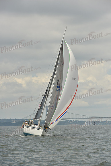 2018 ALIR_1477
